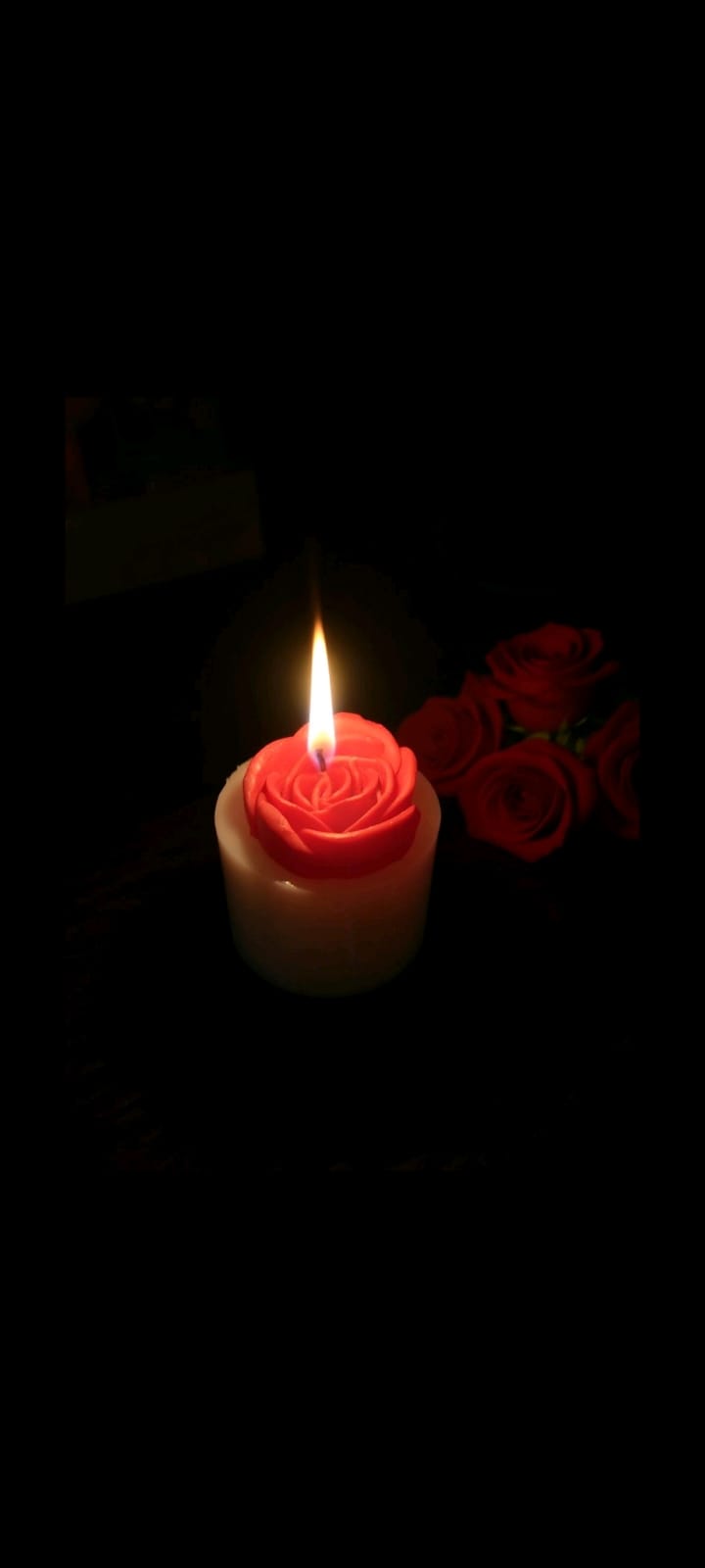 First blush – Hand-Poured Scented Candle - Nest and Nuzzle