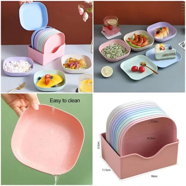 10pcs Plates Set With Holder (random Colours) - Nest and Nuzzle
