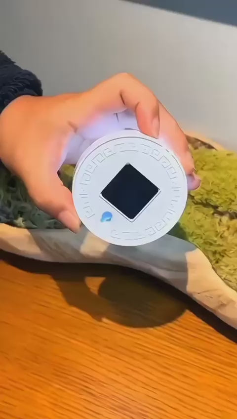 Led motion sensor light